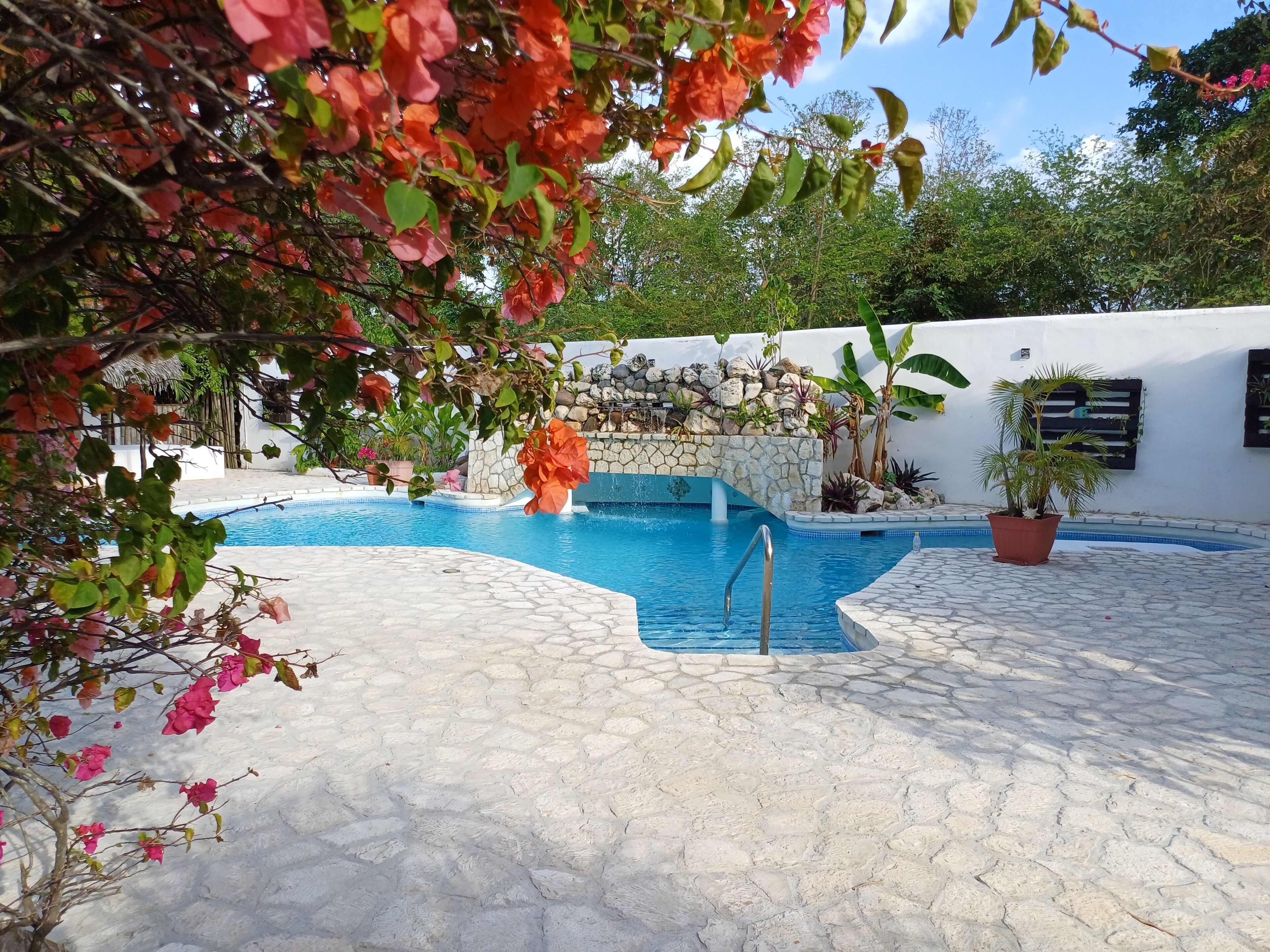 outdoor pool, pool loungers