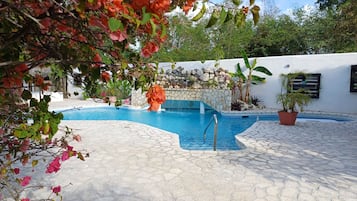 Outdoor pool, sun loungers
