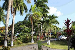 Vista da propriedade
