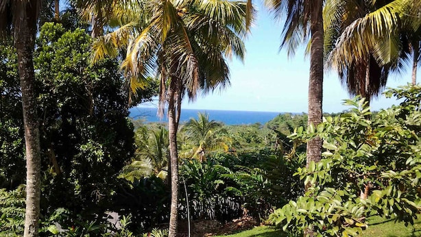 Unclassified image, 1 of 153, button - Rio Vista Resort (Port Antonio)