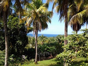 Blick von der Unterkunft