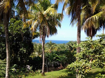Rio Vista Resort