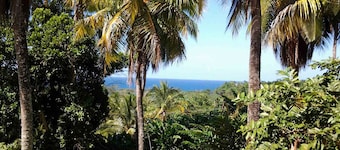 Rio Vista Resort