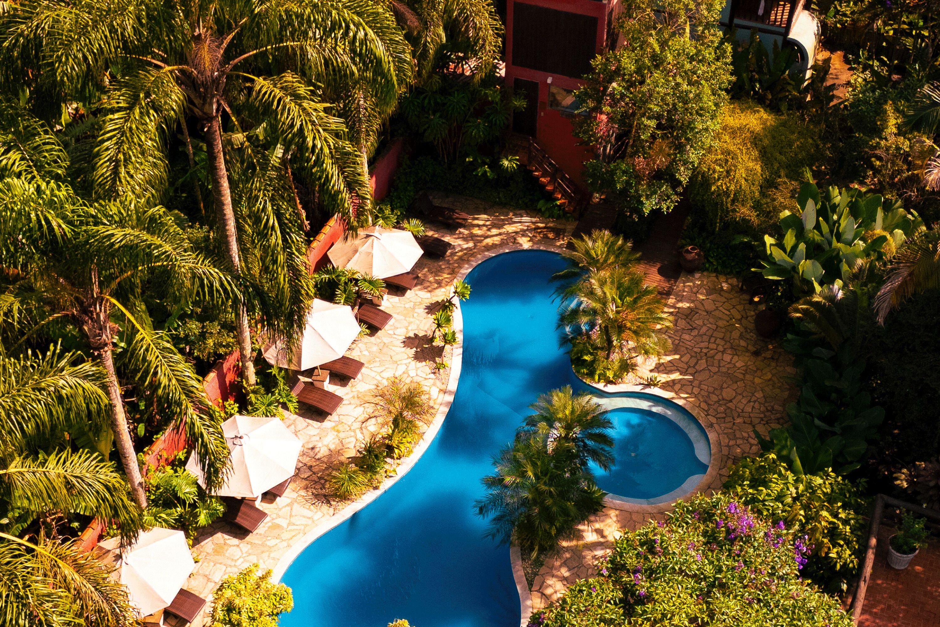Una piscina al aire libre, sombrillas, sillones reclinables de piscina