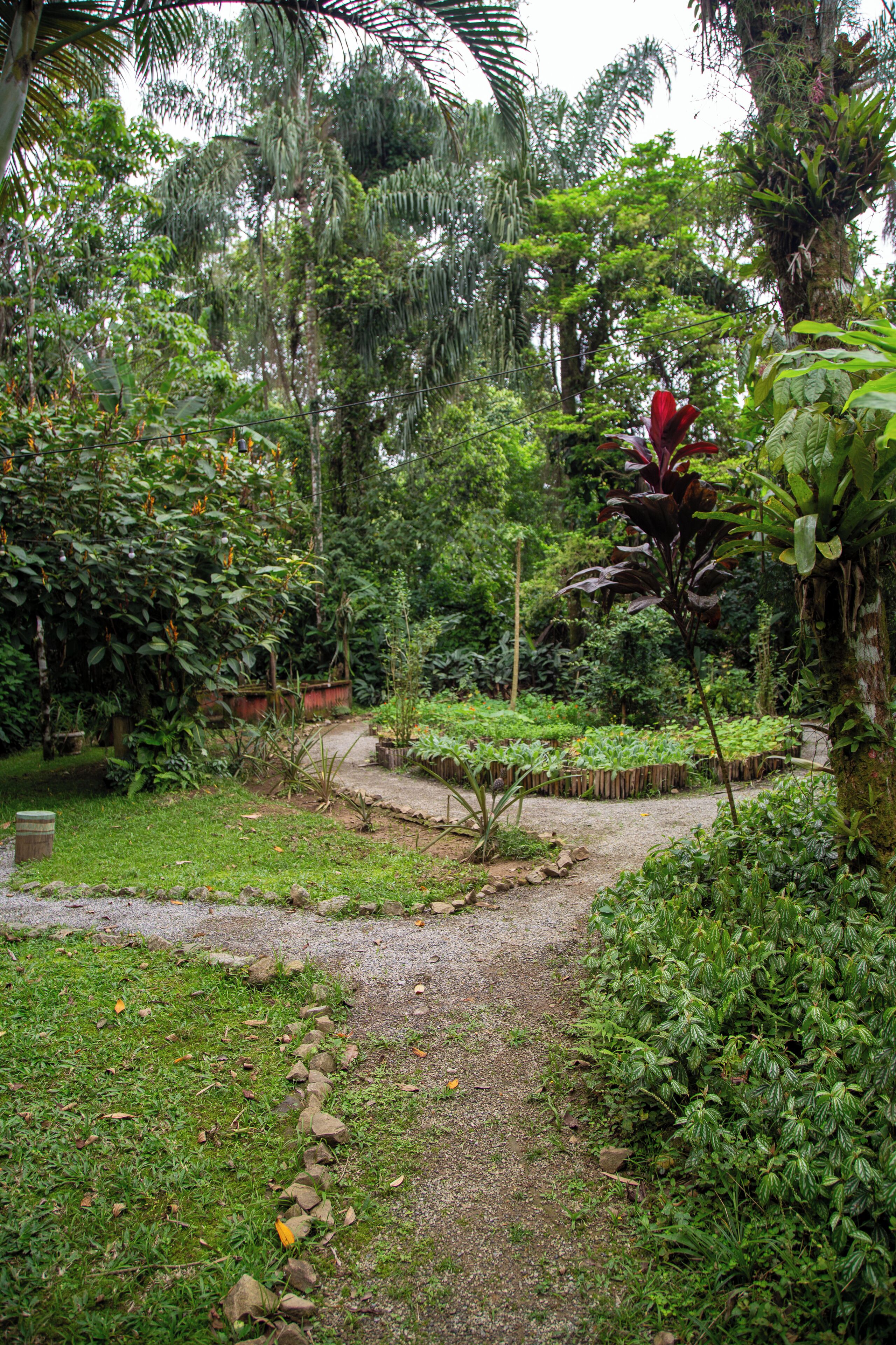 executive cabin | minibar, blackout curtains, bed sheets