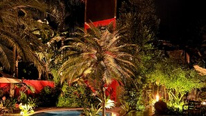 Une vue nocturne d’un jardin tropical avec une piscine, des palmiers et une construction dont le toit est rouge.