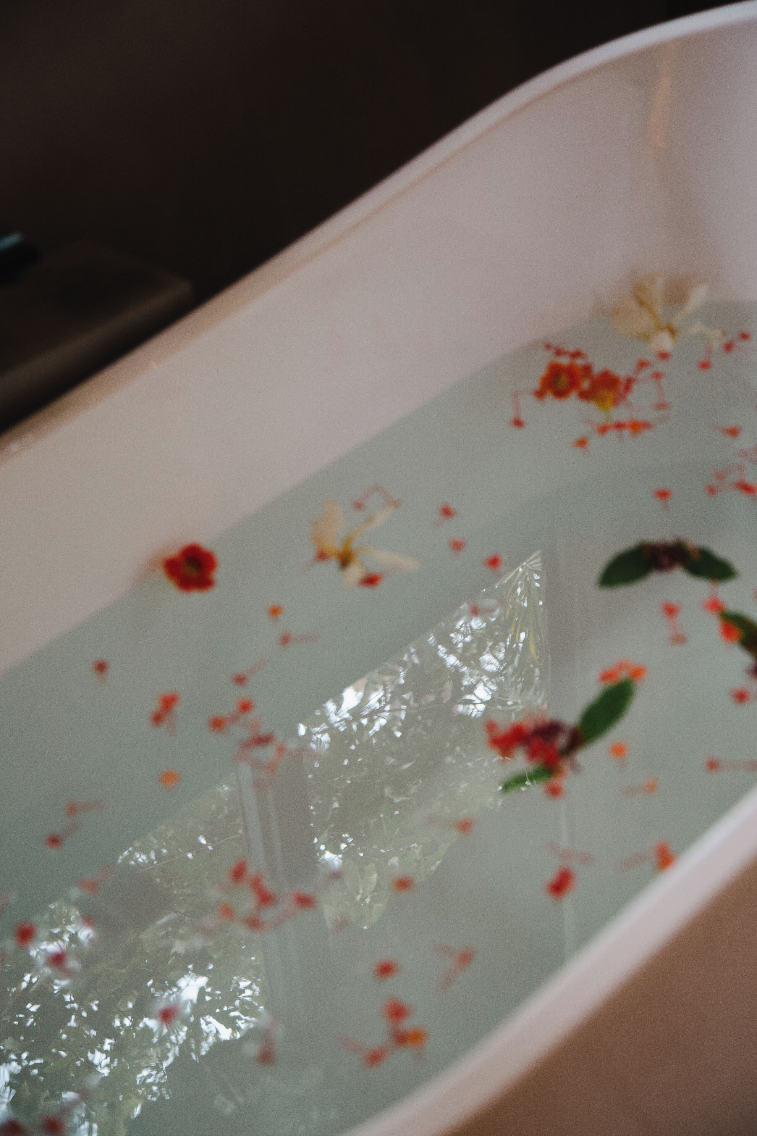 executive cabin | bathroom | free toiletries, towels, soap, shampoo