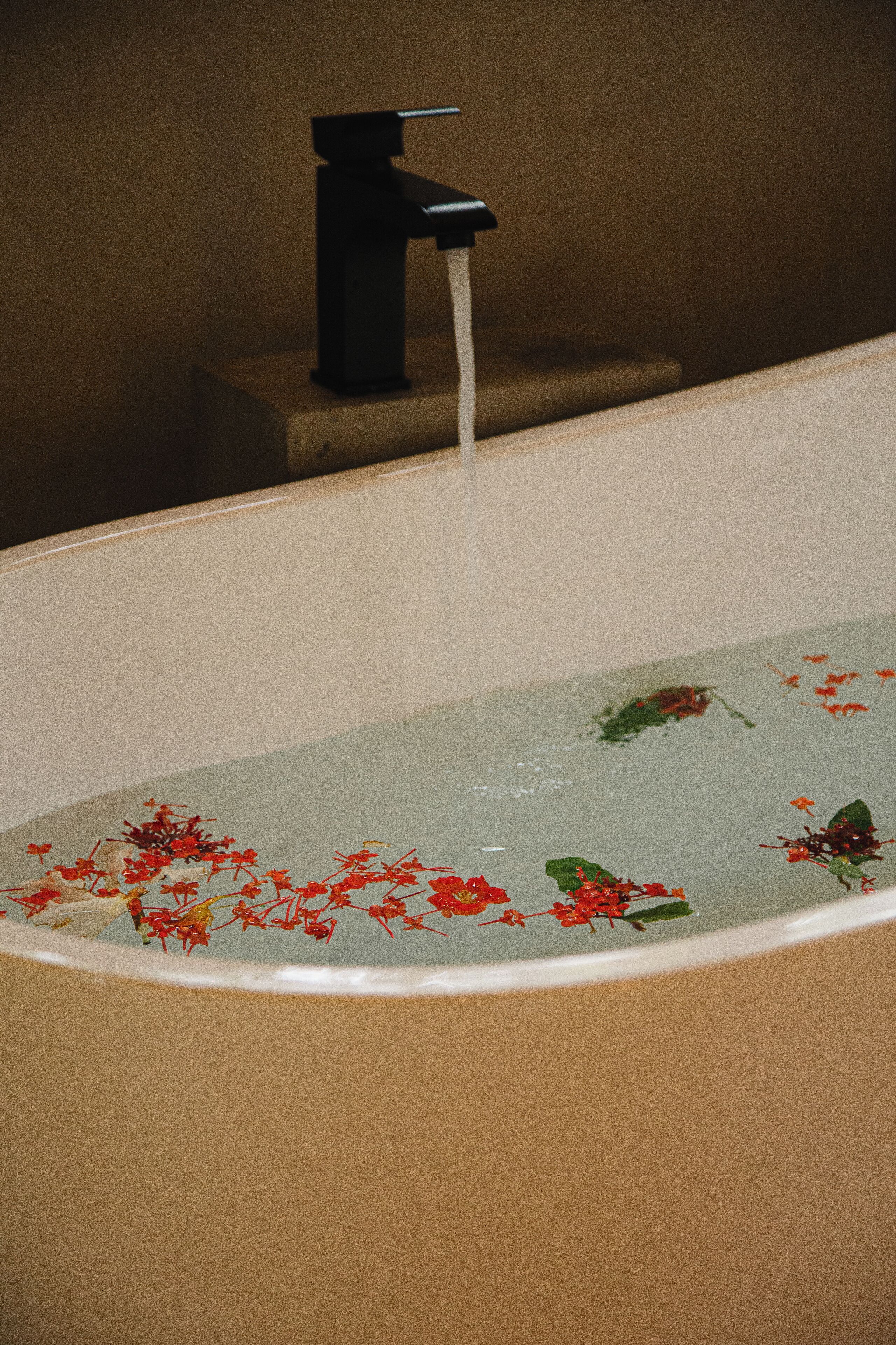 executive cabin | bathroom | free toiletries, towels, soap, shampoo