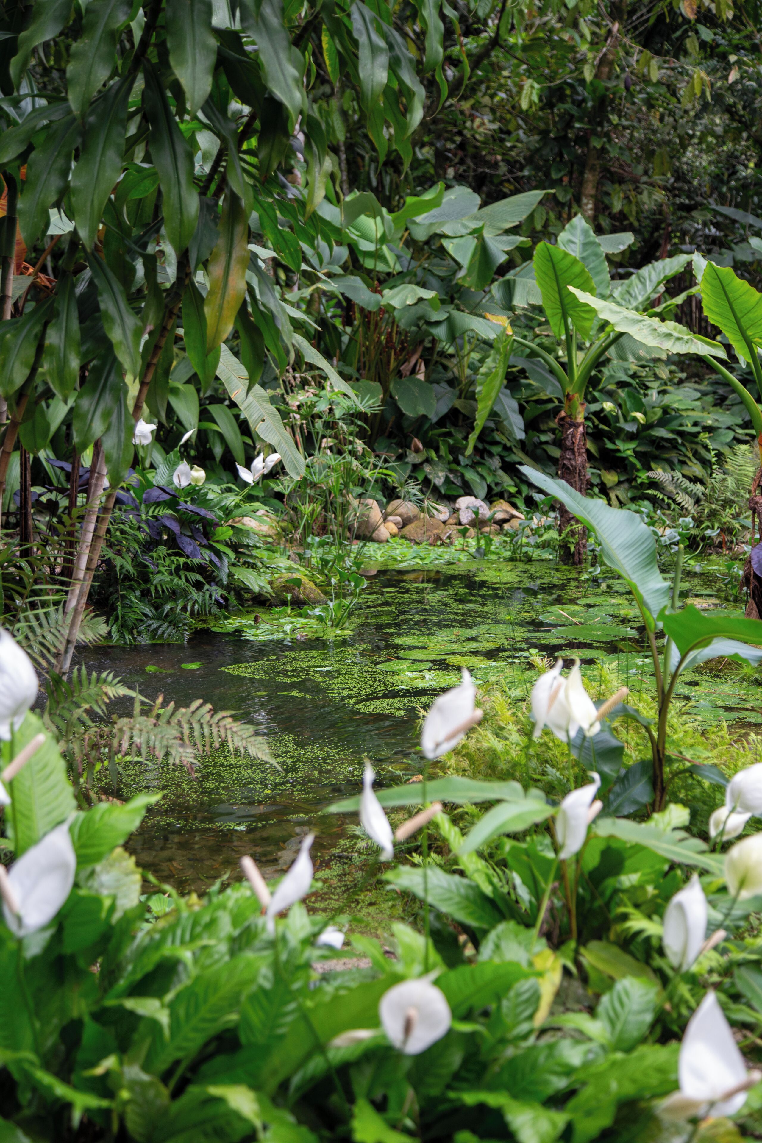 executive cabin | minibar, blackout curtains, bed sheets