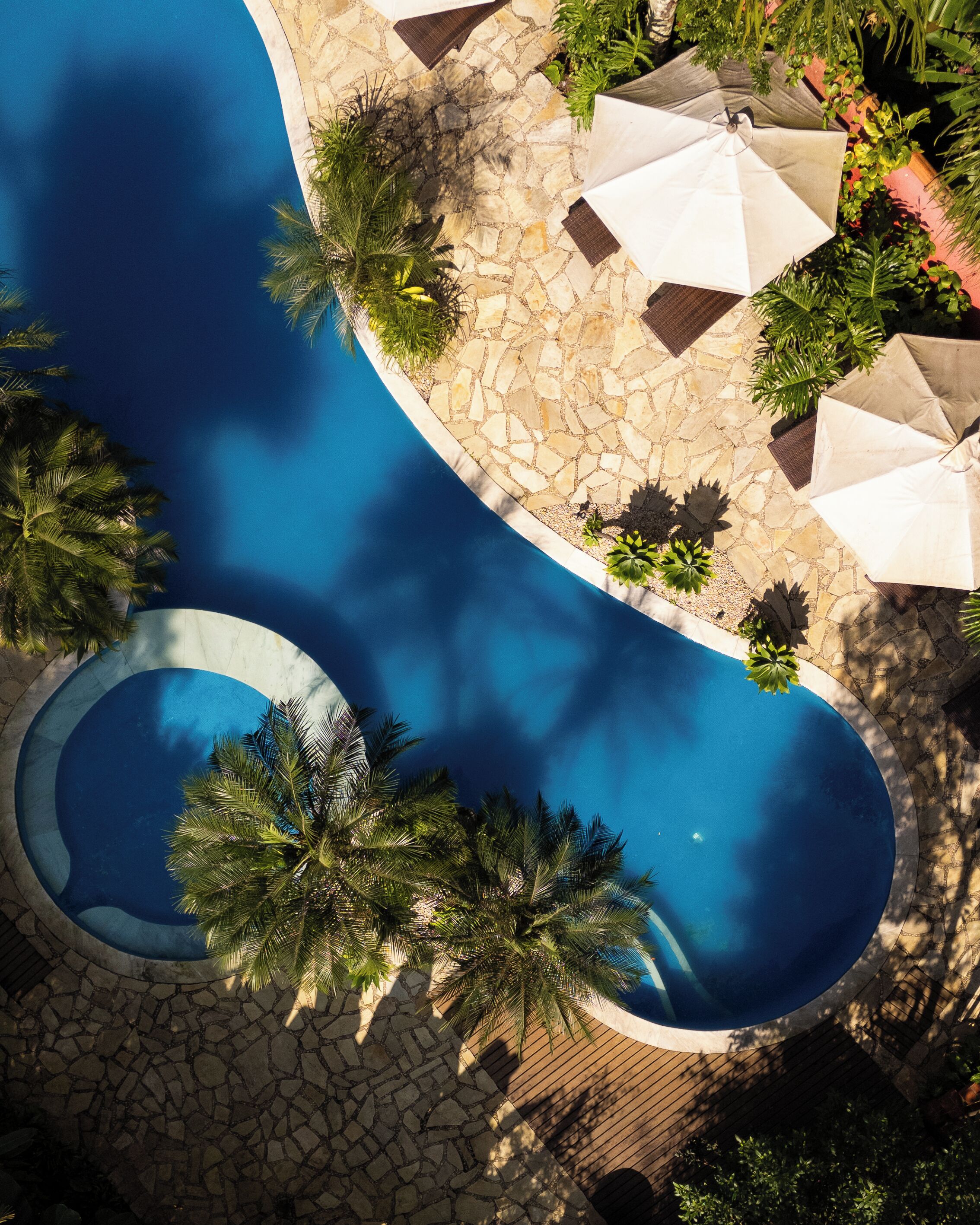 outdoor pool, pool umbrellas, pool loungers