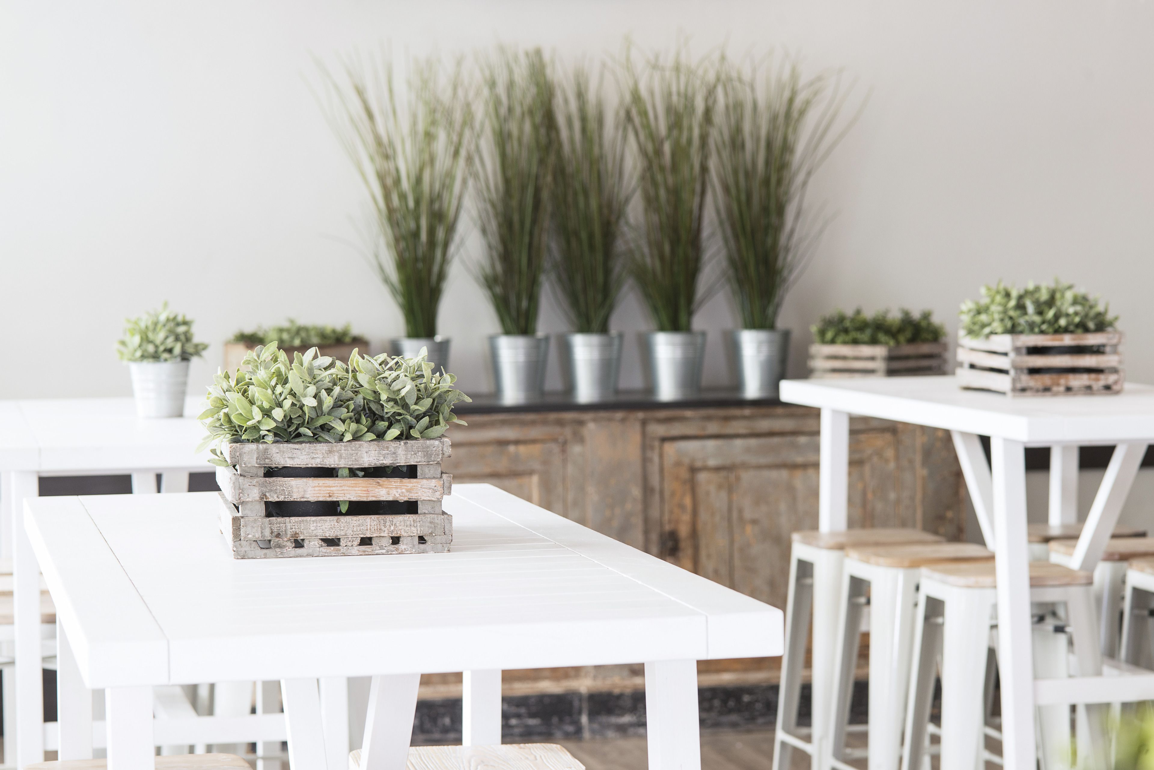 lunch and dinner served