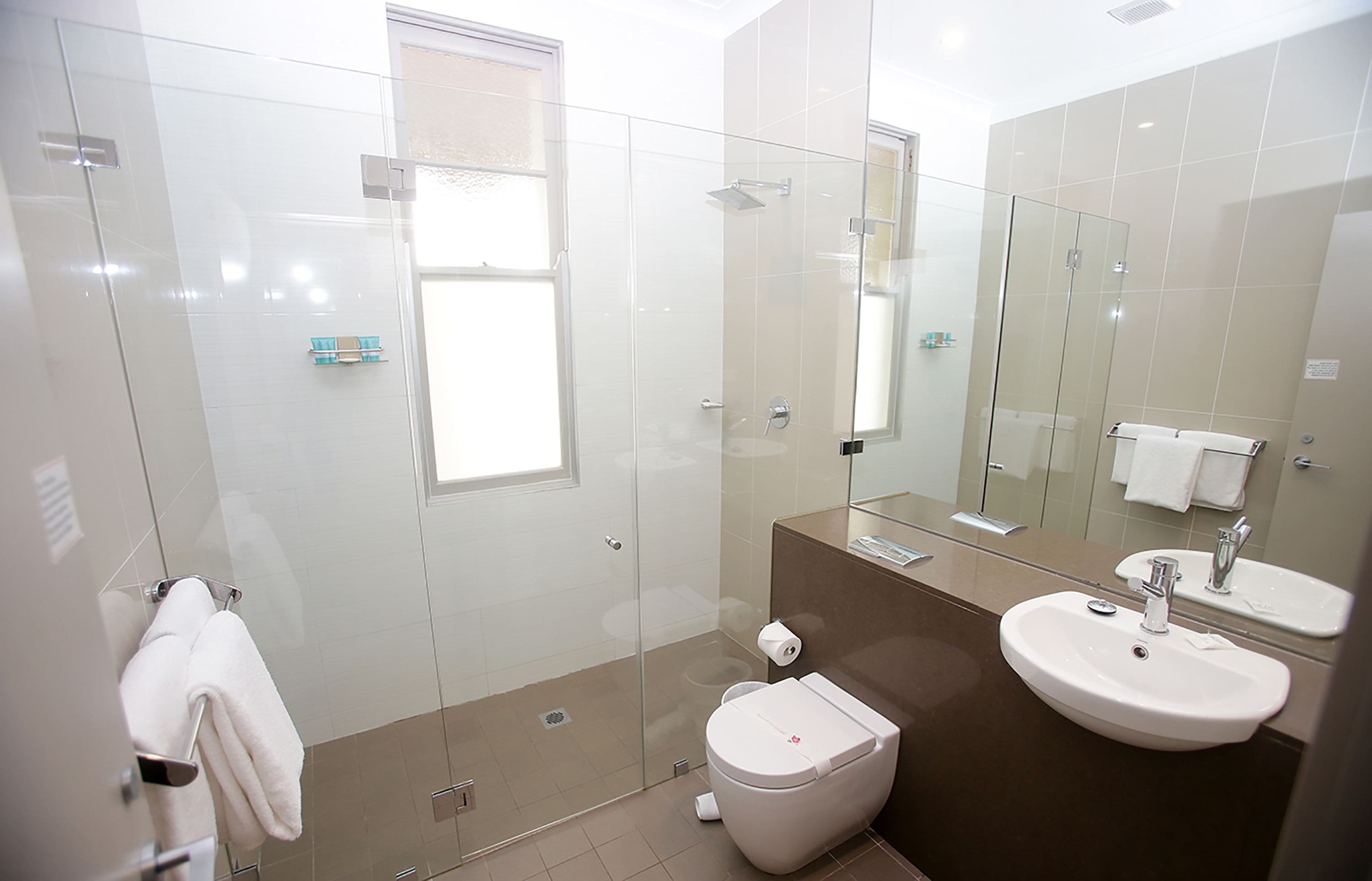 A modern bathroom with a glass-enclosed shower, a toilet, a sink, and a large mirror.