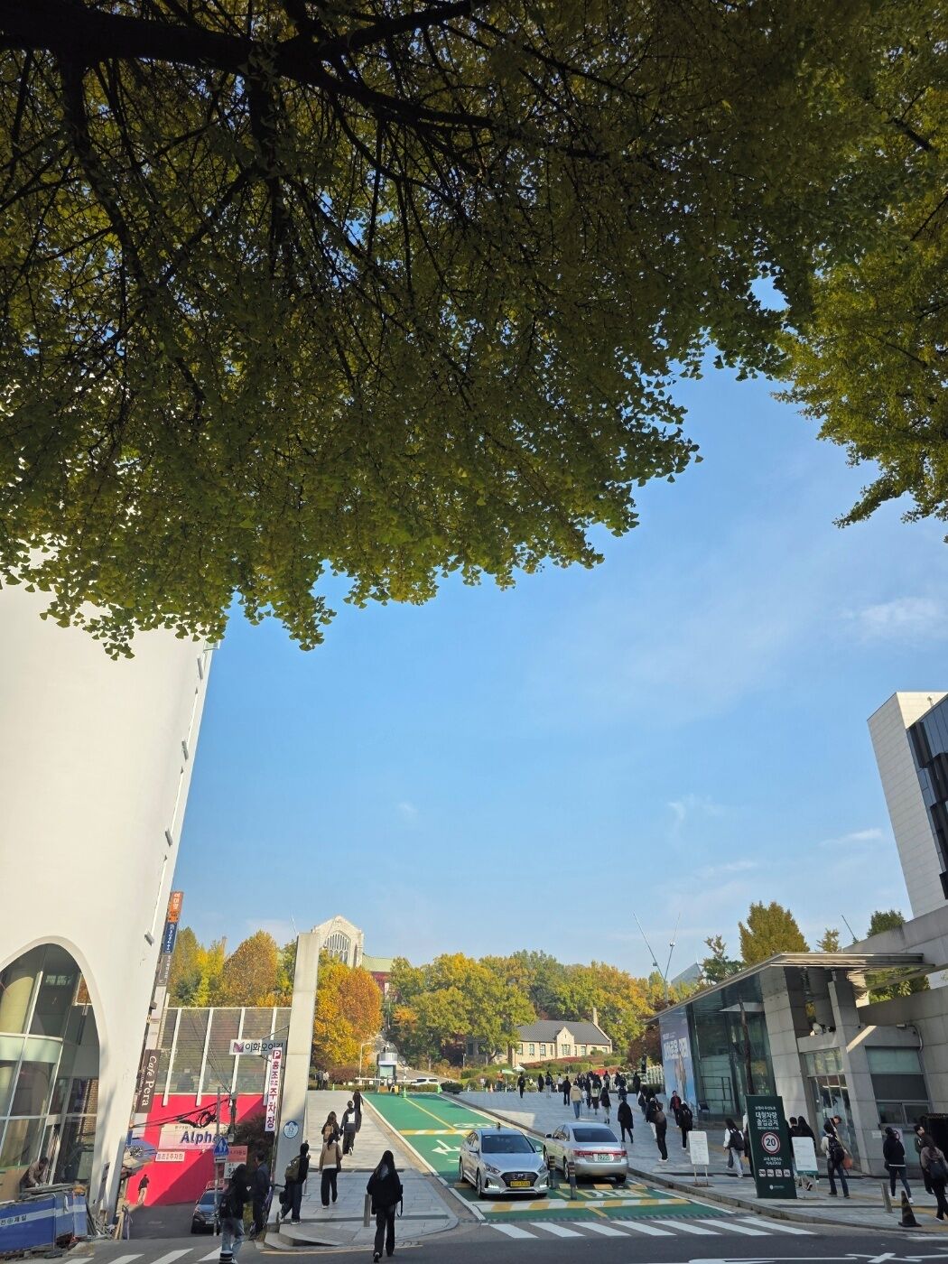 Foto - Philstay Ehwa Boutique - Female Only