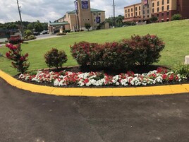 A Sleep Inn hotel with a green lawn, flower beds, and a parking lot.