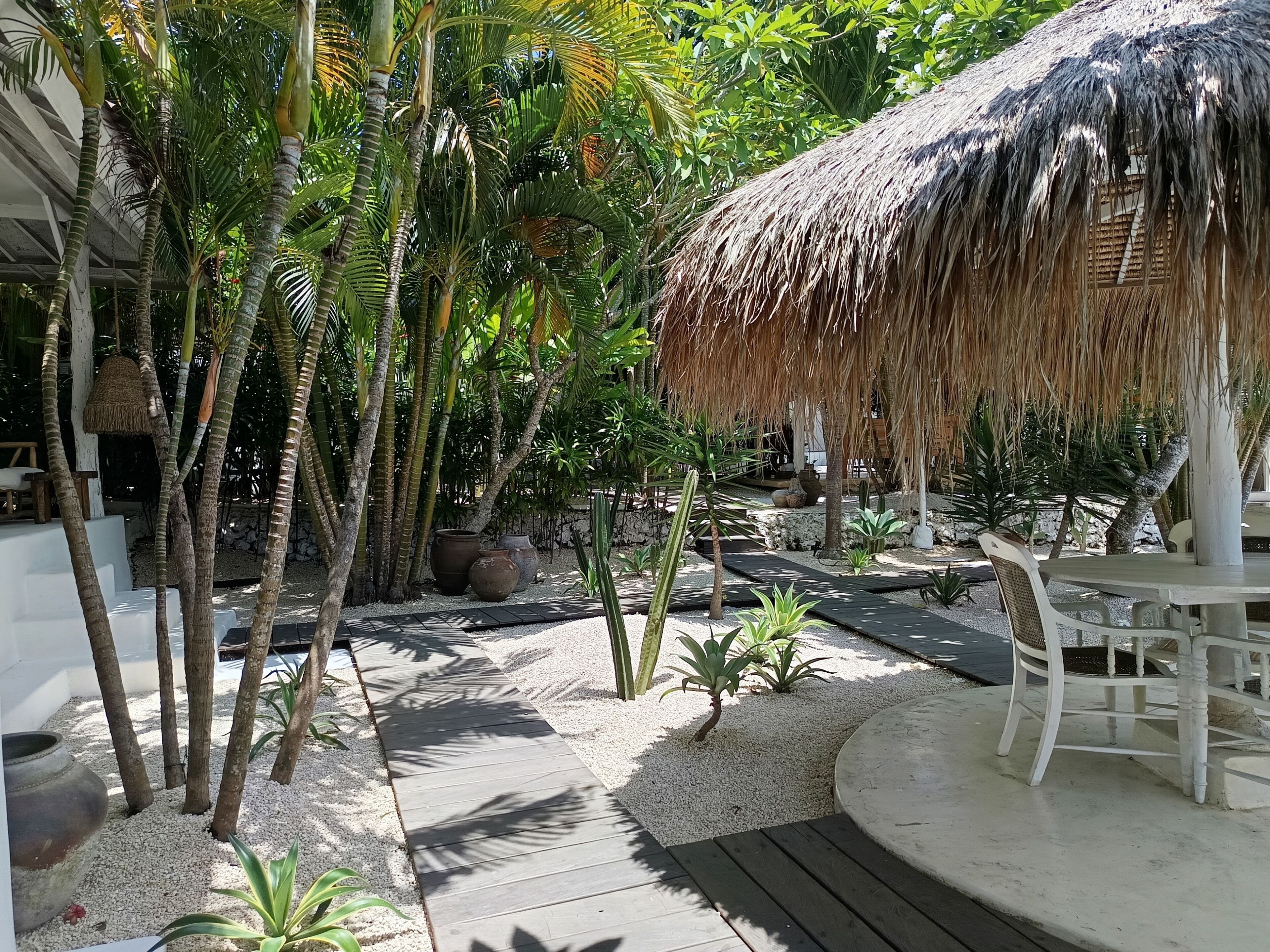 A tropical outdoor area with palm trees, a thatched-roof structure, and a white outdoor seating area.