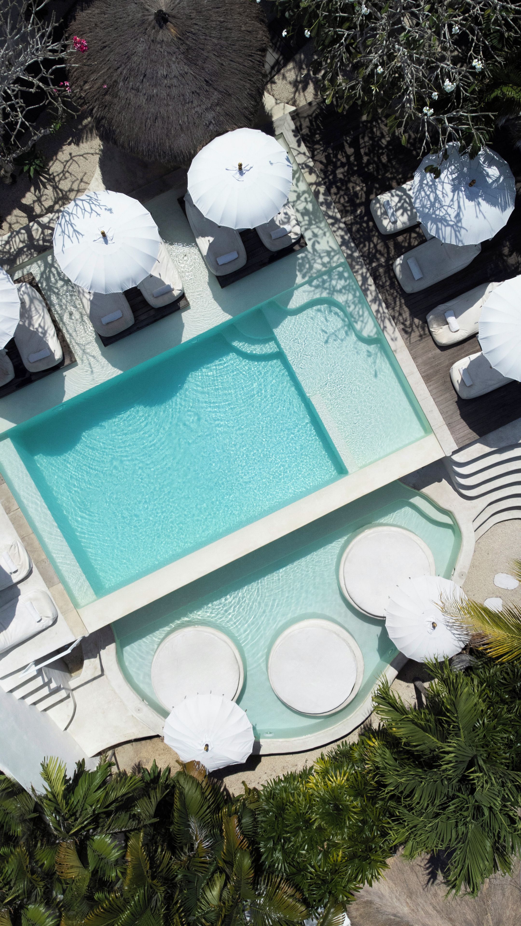 A pool area with lounge chairs and umbrellas, surrounded by greenery.