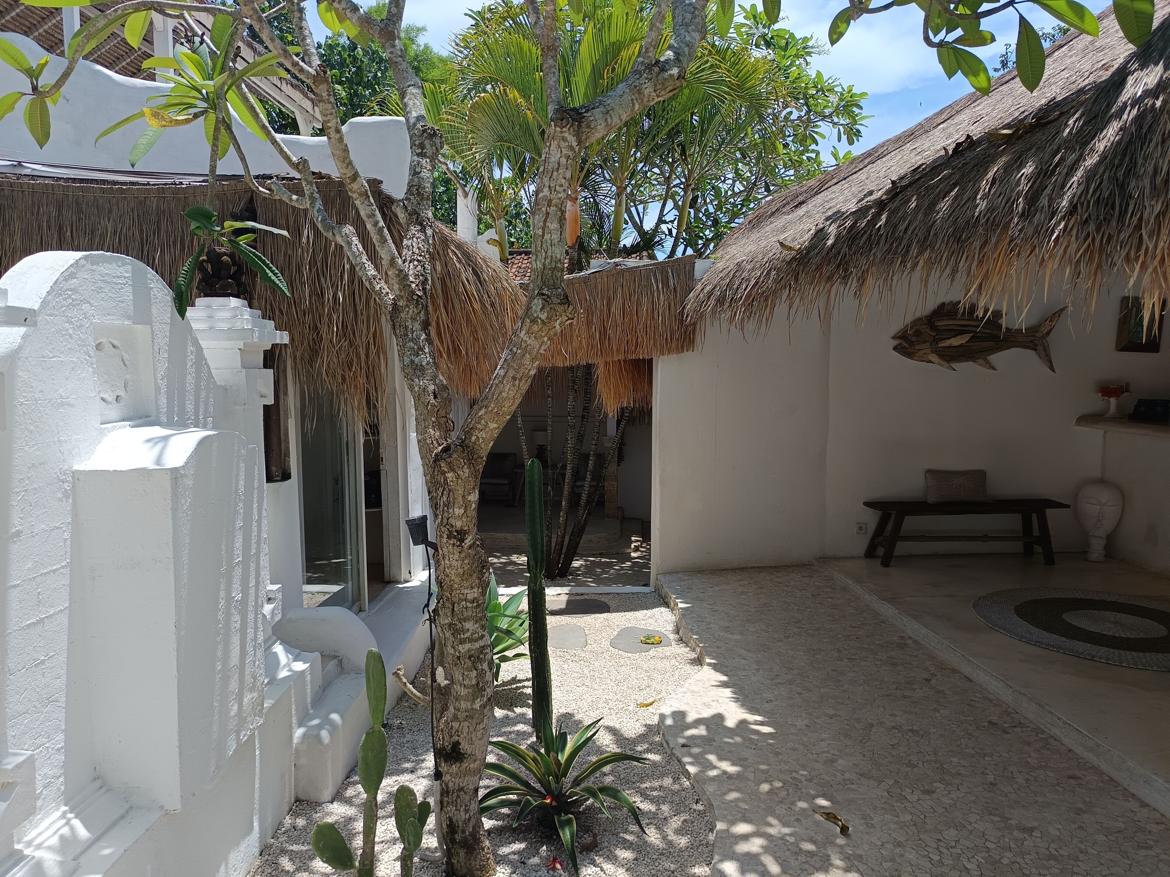 A courtyard with a thatched-roof structure, a cactus, and a fish decoration on the wall.