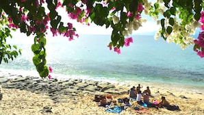 A beach scene with people sitting under a tree with pink flowers. - Sal Secret Spot (Pecatu)
