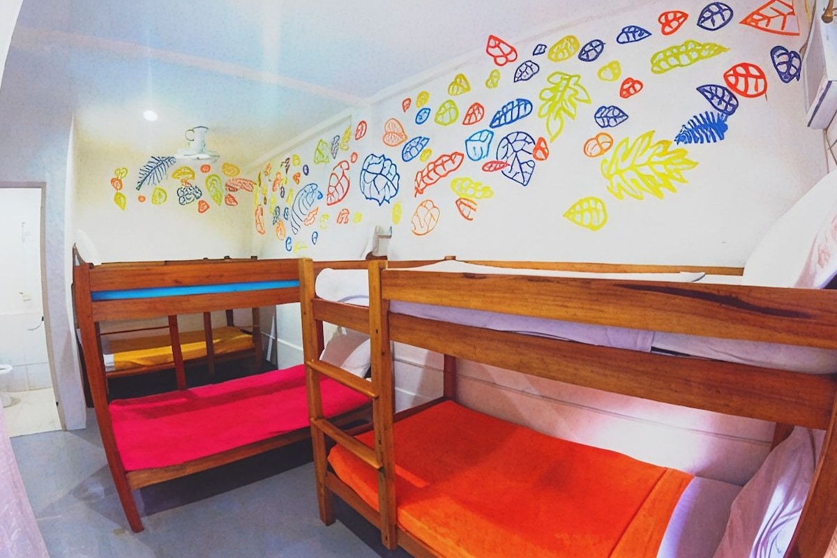 A bunk bed room with a wall decorated with colorful leaf patterns.