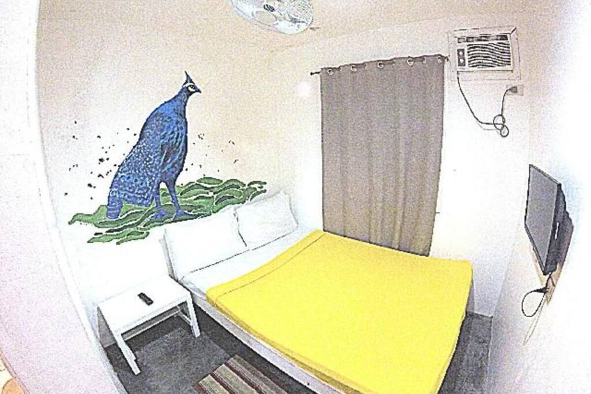 Een kamer met een bed, een klein tafeltje, een televisie, een airconditioner en een afbeelding van een pauw aan de muur.
