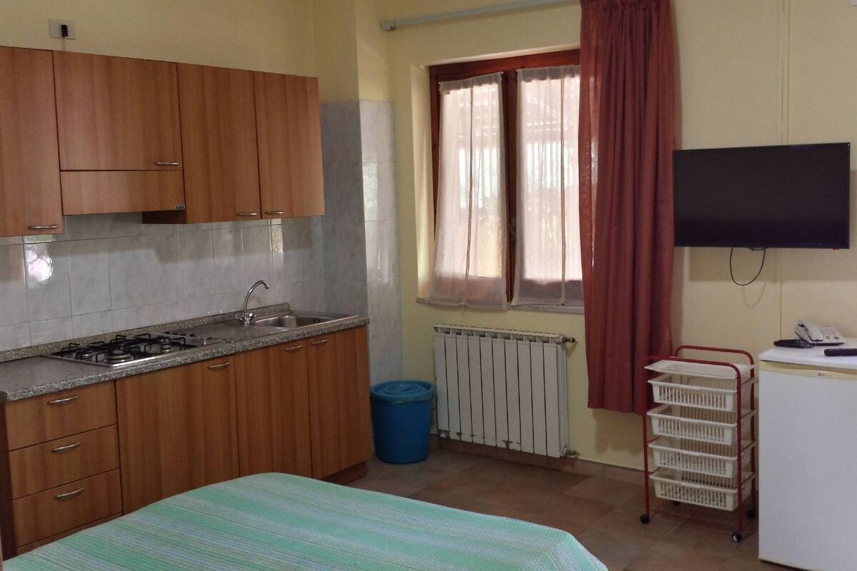 A compact kitchen with wooden cabinets, a gas stove, and a sink. There's a small refrigerator and a TV mounted on the wall.