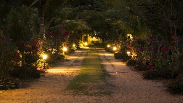 Un chemin menant à un bâtiment entouré d’une végétation luxuriante et de plantes en fleurs, le long duquel sont disposés des lampadaires qui éclairent le passage.