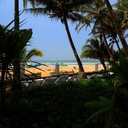 On the beach, scuba diving, surfing