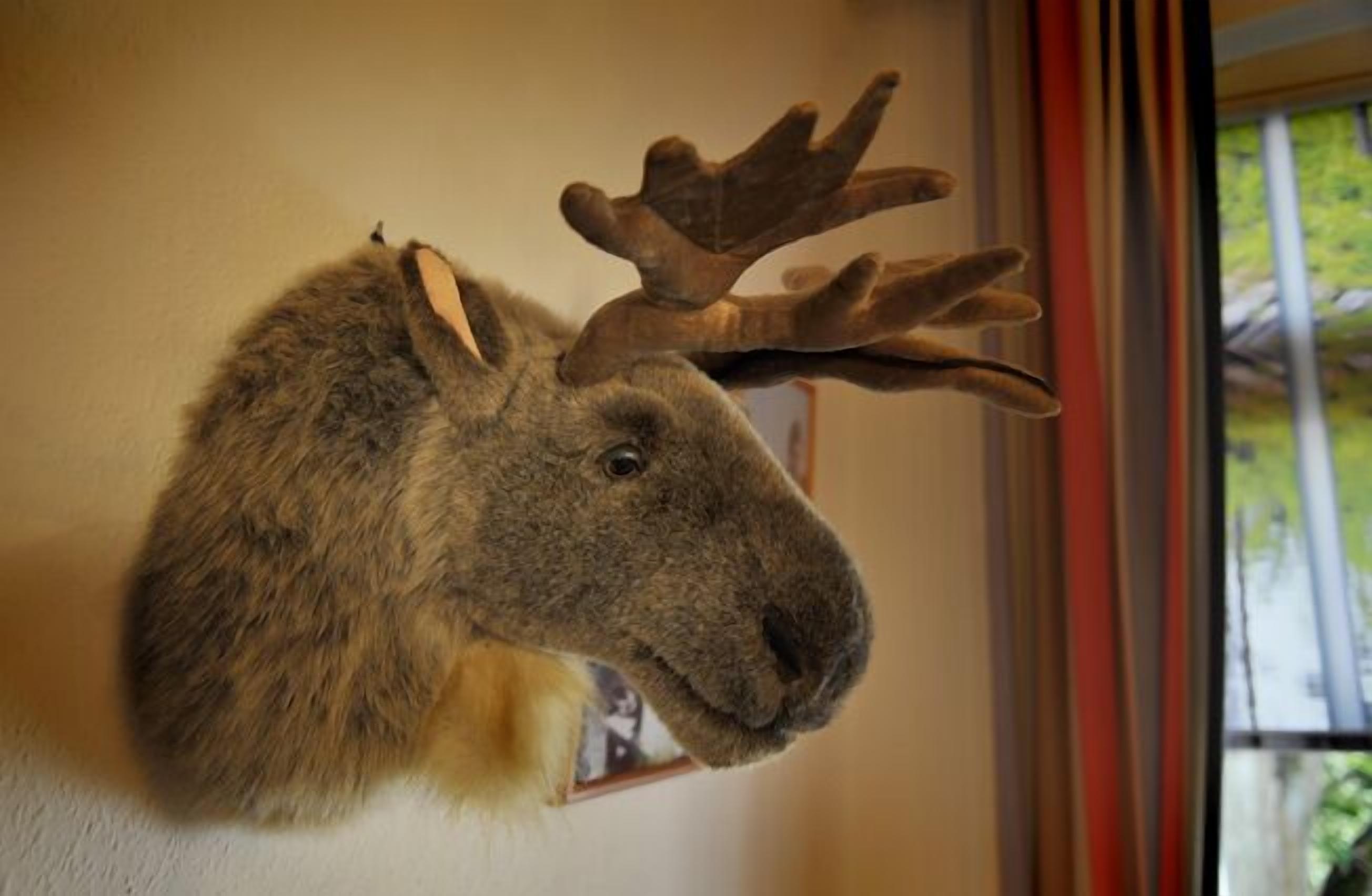 single room | hypo-allergenic bedding, free wifi, bed sheets