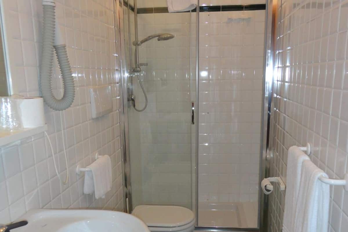shower, free toiletries, hair dryer, bidet