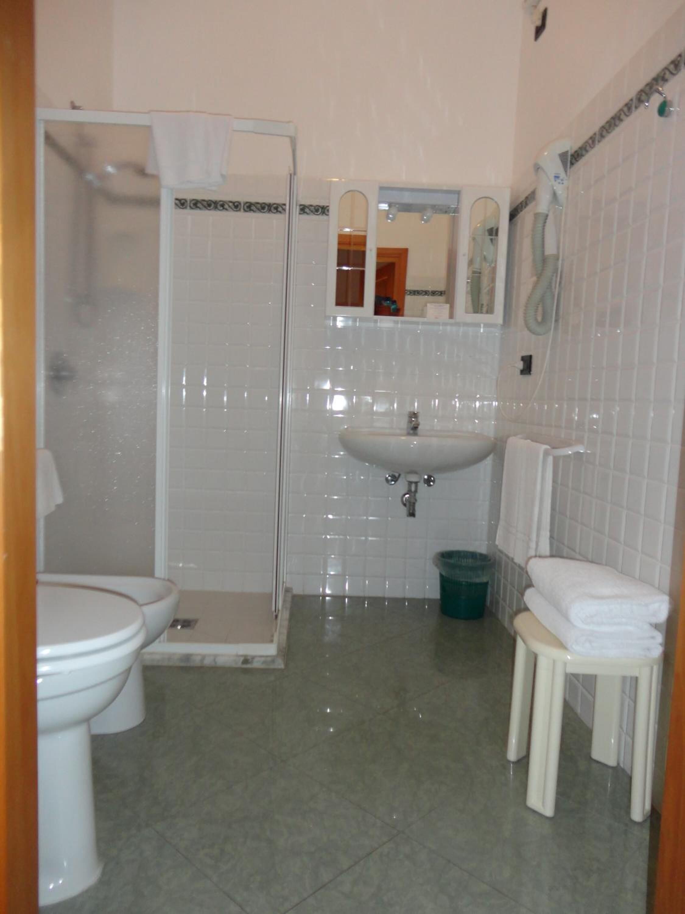 shower, free toiletries, hair dryer, bidet