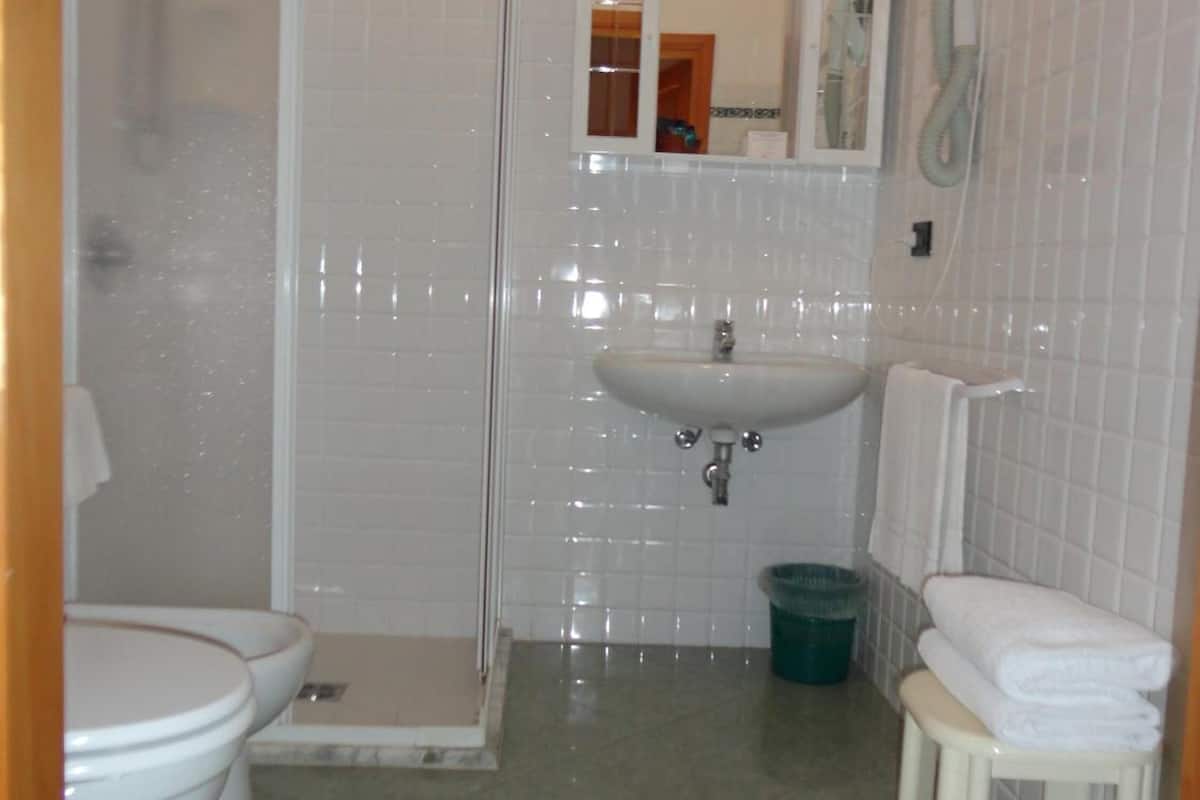 shower, free toiletries, hair dryer, bidet