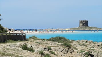 In Strandnähe, kostenloser Shuttle zum Strand