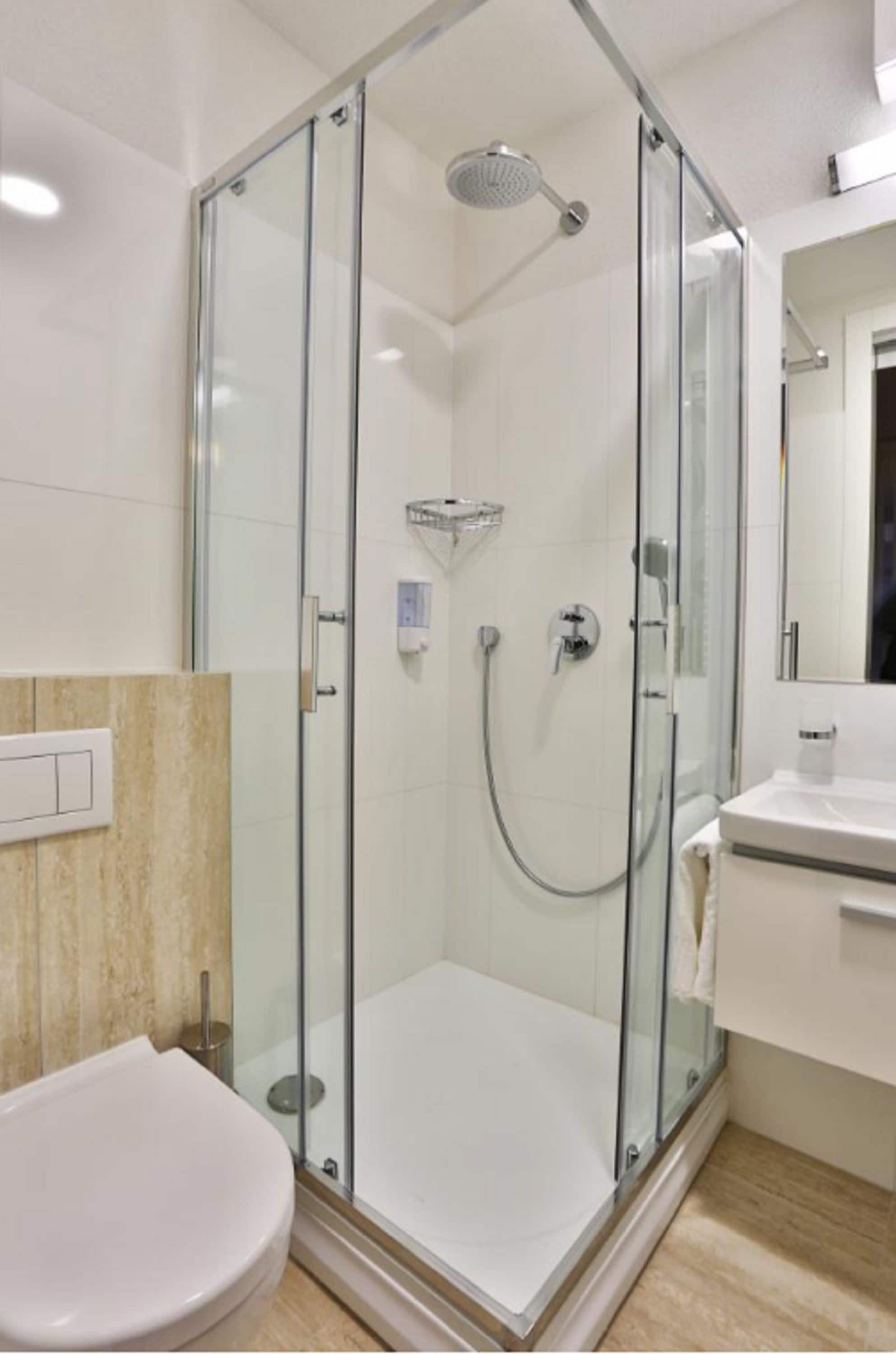 A modern bathroom with a glass-enclosed shower, a white toilet, and a sink with a mirror.