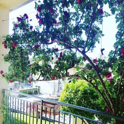 Hotel Fioroni (11106907)