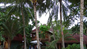 Property grounds - Alona Tropical Beach Resort (Panglao)