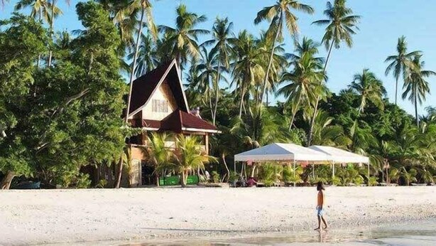 Exterior - Alona Tropical Beach Resort (Panglao)