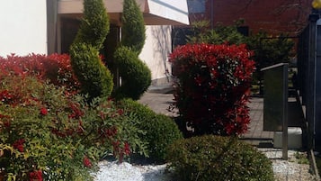 A garden with various shrubs and a pathway leading to a building with a white facade and a curved roof.