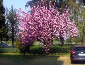 Property grounds - Hotel Forum (Rozzano)