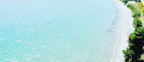 Plage à proximité, sable blanc, chaises longues, parasols