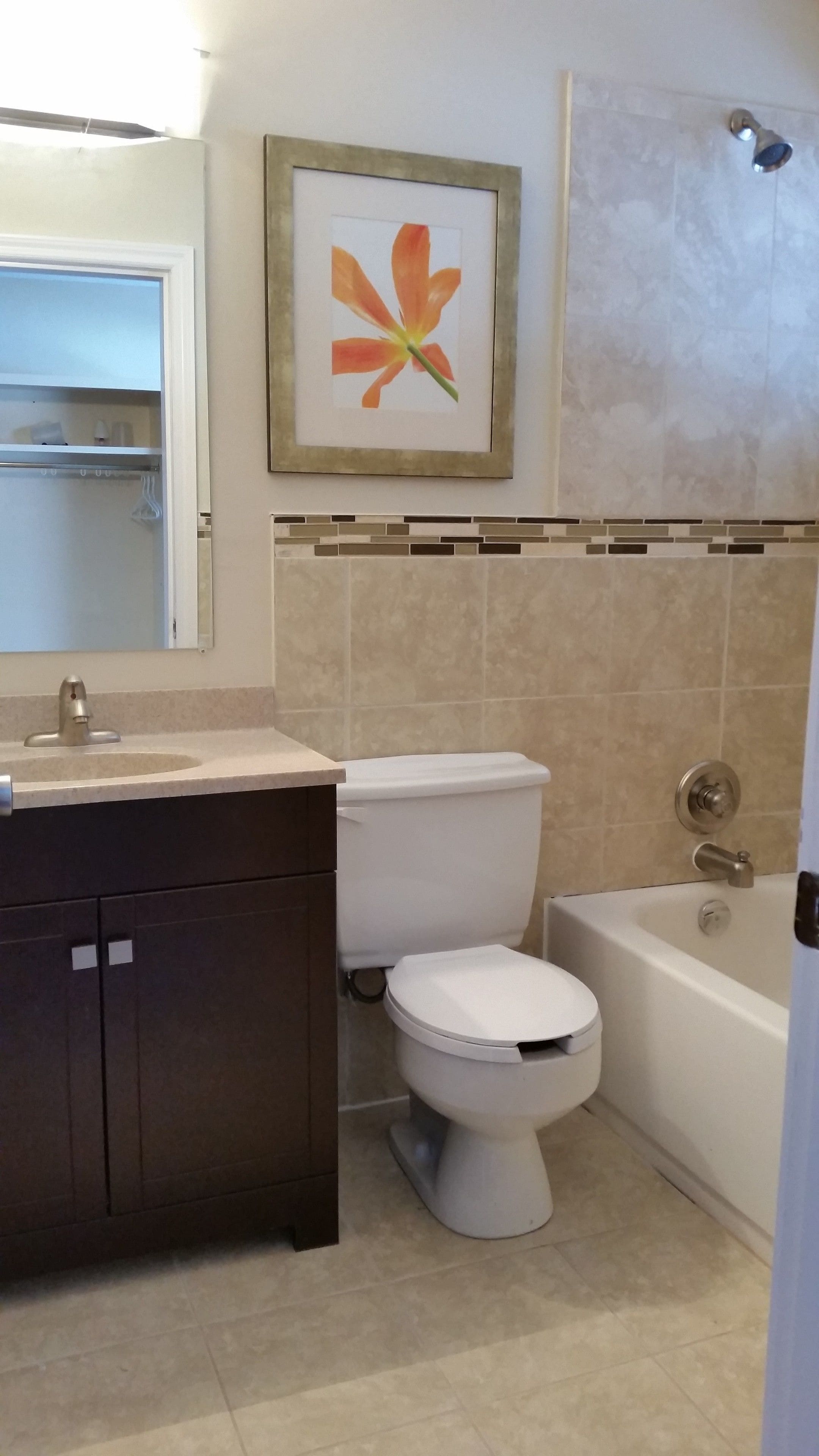 Combined shower/bathtub, free toiletries, hair dryer, towels