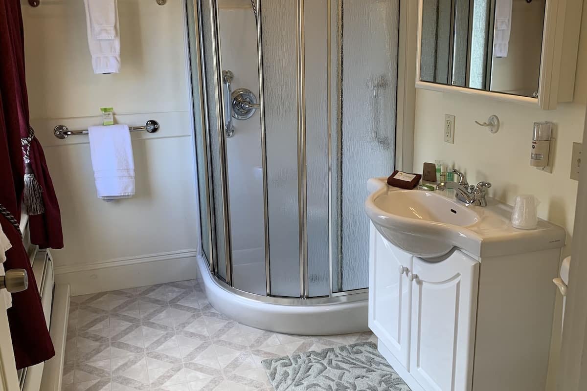 combined shower/bathtub, hair dryer, towels