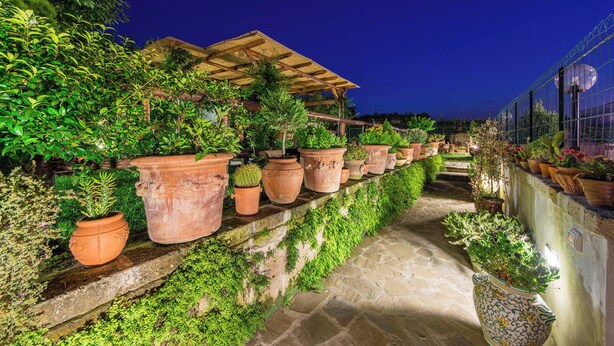 A terraced garden with potted plants and a wooden pergola. - B&B La Casa nel Giardino (Piano di Sorrento)