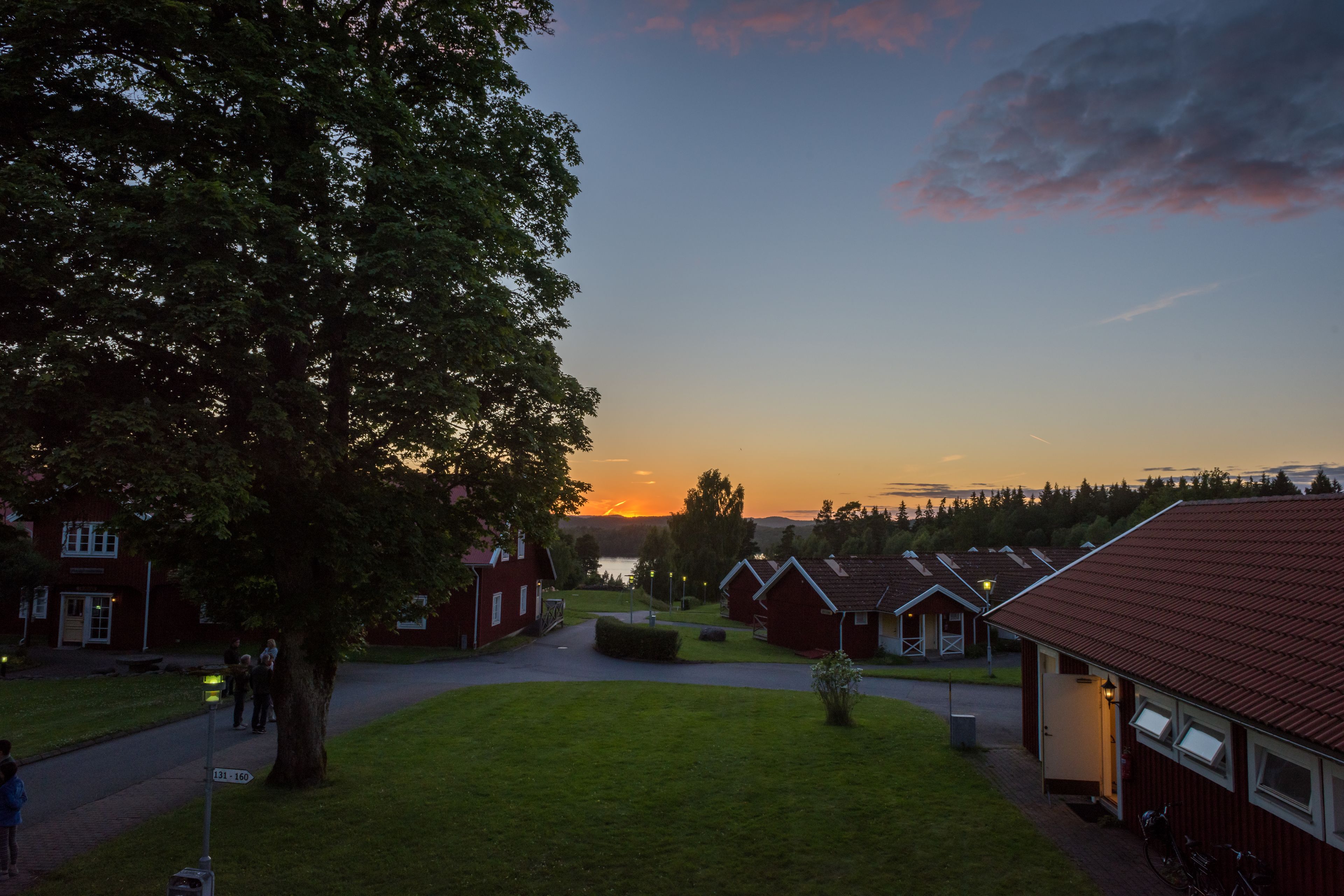 Een woonwijk met rode huizen, een grote boom en een zonsondergang op de achtergrond.