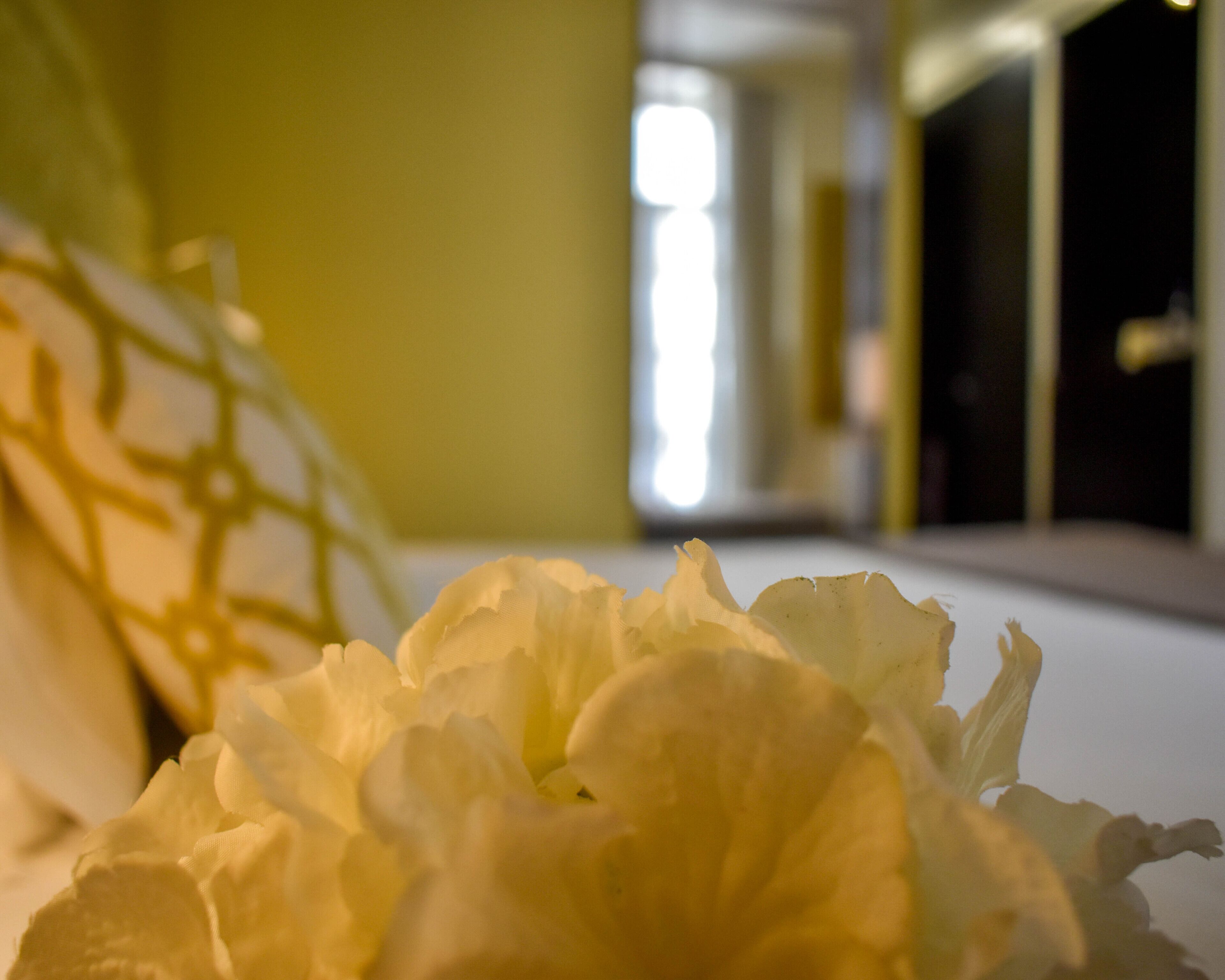 Foto - Universal Boutique Hotel