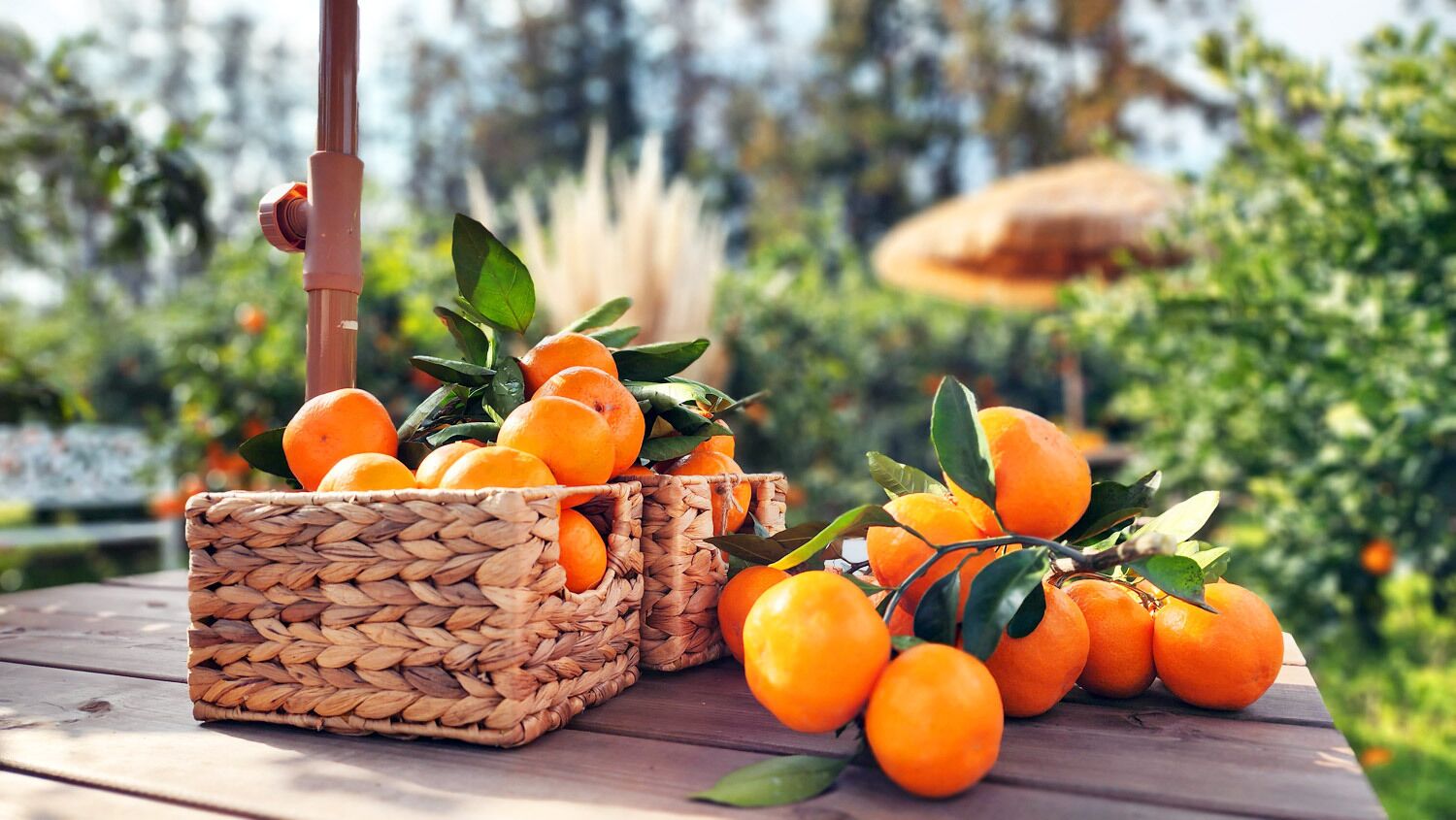 Two woven baskets filled with oranges on a wooden table outdoors.