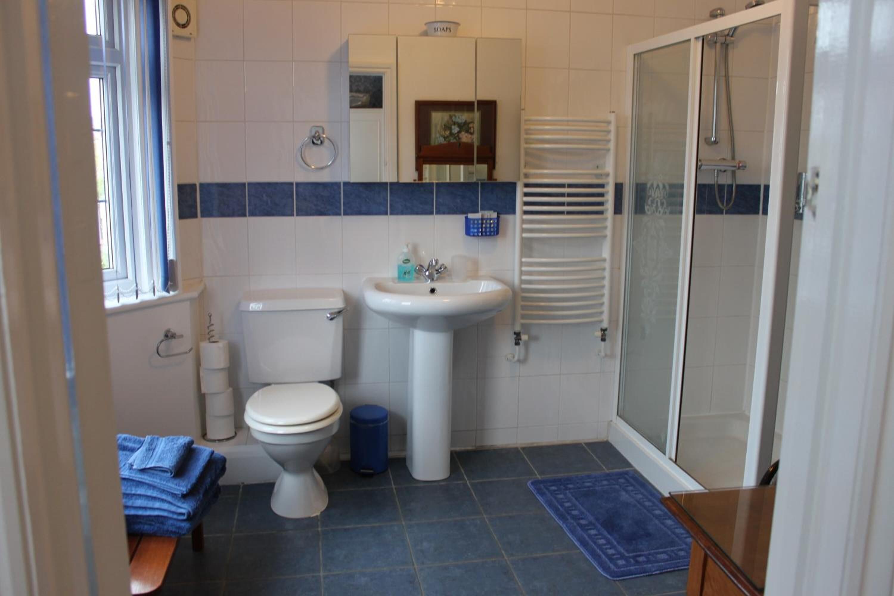 Casa de banho com sanita, lavatório e chuveiro.