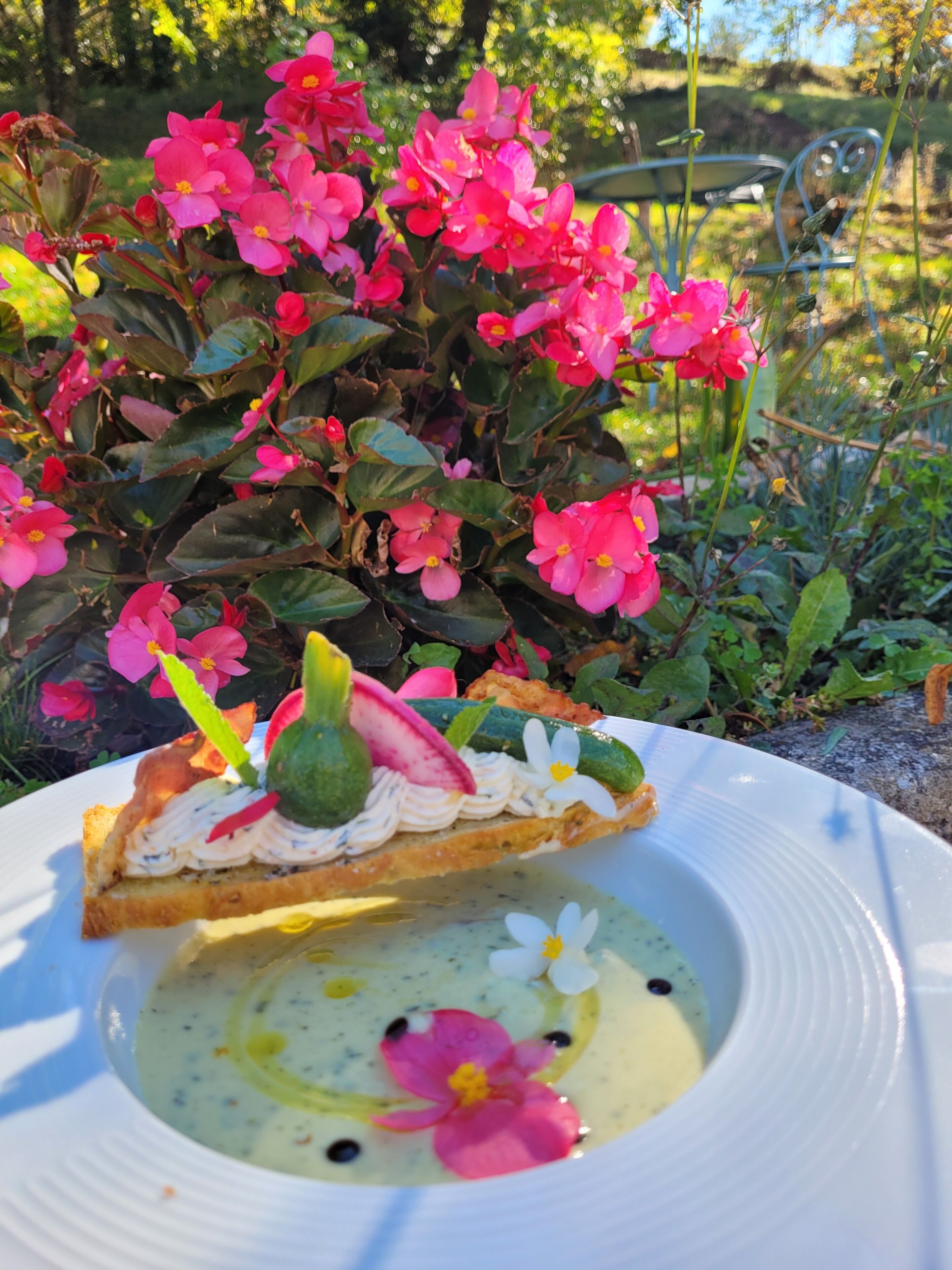 Un plato con una rebanada de tostada cubierta de crema y una flor, un tazón de sopa con una flor, y flores rosadas al fondo.