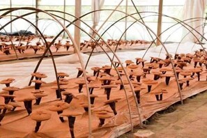 Banquet hall - Anhui International Hotel (Nantong)