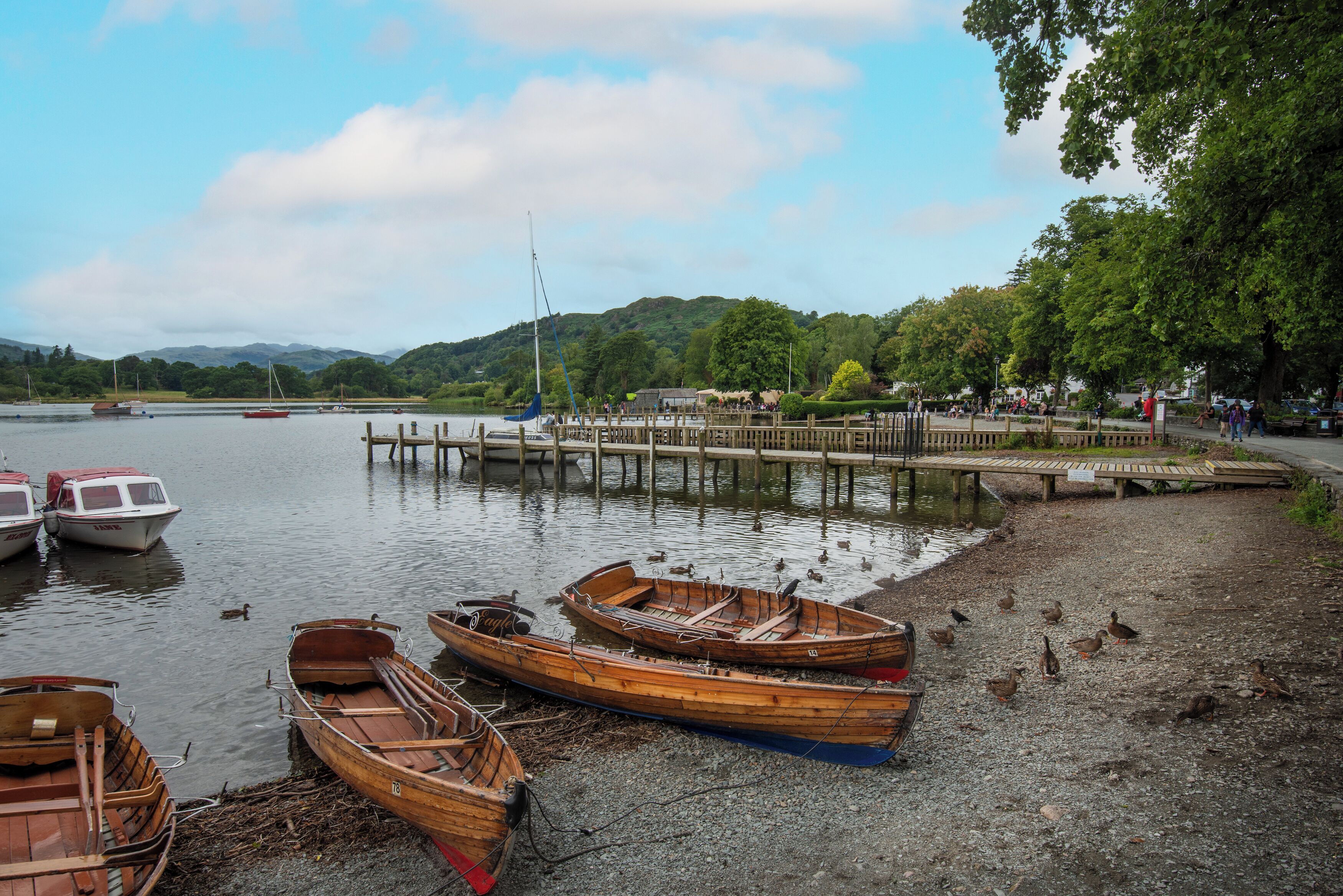 Escena junto al lago con botes de madera amarrados a la orilla, un muelle de madera y patos en el suelo.