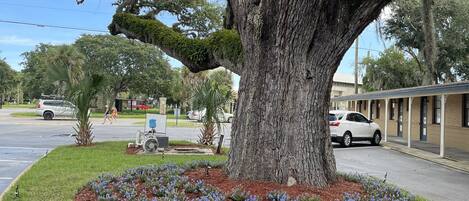 Voorkant van accommodatie